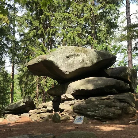 Gorski 595 *