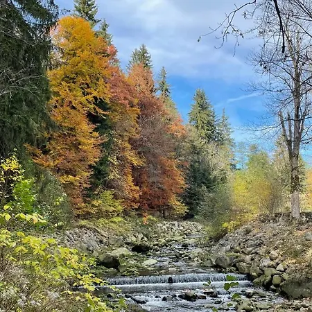 Gorski 595 * Sklářská Poruba