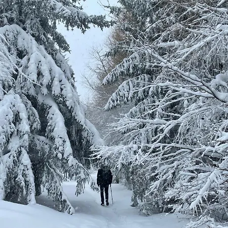 Апартаменты Gorski 595