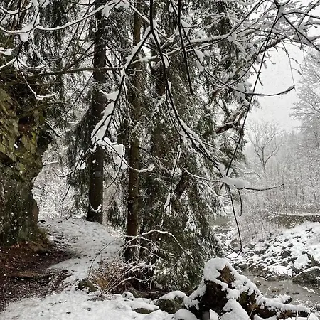 Апартаменты Gorski 595 *