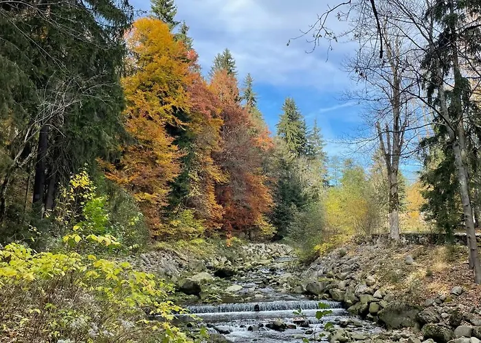 Gorski 595 * Шклярска-Поремба