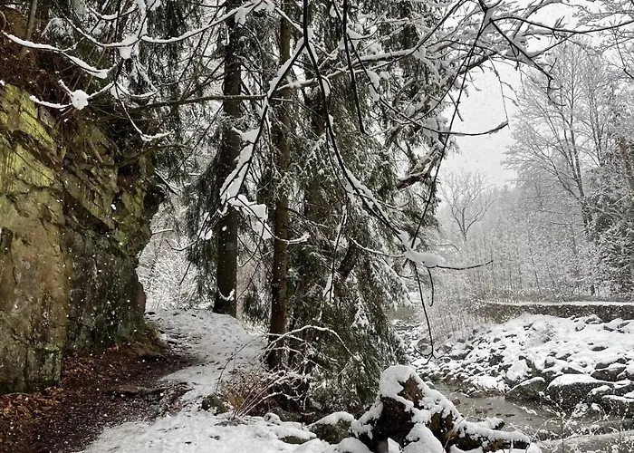 Apartman Gorski 595 *